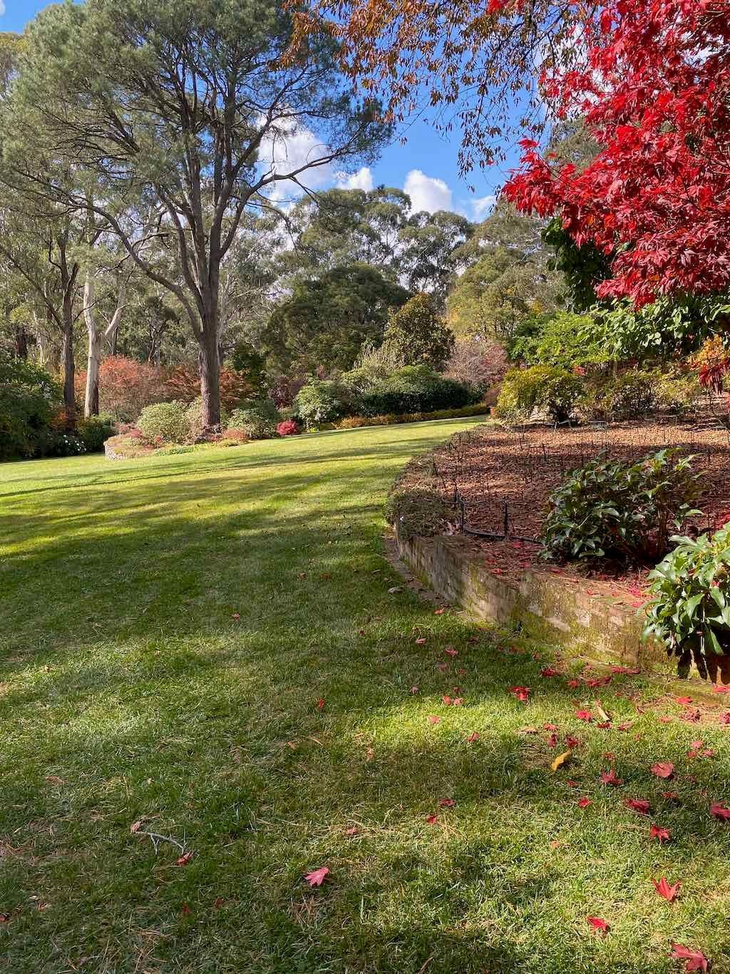 May 2023 Bathurst Mayfield Garden Tour Image -64605bc37486b